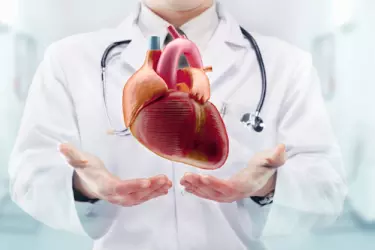 best hospital for echo test in purnia, best doctor for echo test in purnia, cost of echo test in purnia